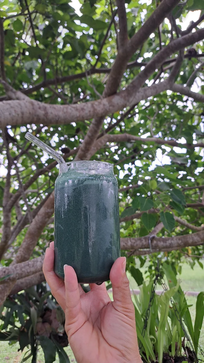 Cómo tomar espirulina fresca congelada Neka